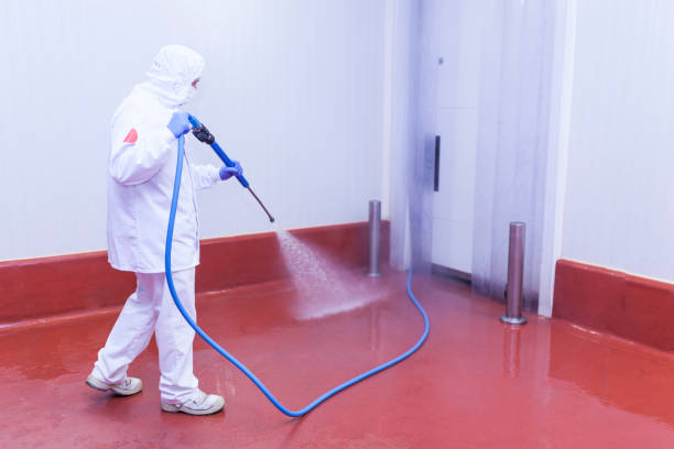 Best Rust Removal  in Harrisonburg, VA
