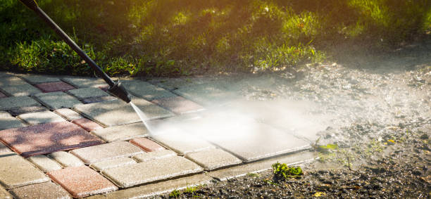 Best Spring Cleaning  in Harrisonburg, VA